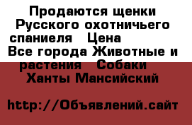 Продаются щенки Русского охотничьего спаниеля › Цена ­ 25 000 - Все города Животные и растения » Собаки   . Ханты-Мансийский